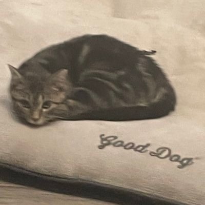 AmandaB37668494's profile picture. 