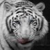 Jokerfaic โญโ ๐ (@jokerfaic) Twitter profile photo Jokerfaic โญโ ๐ (@jokerfaic) Twitter profile photo
