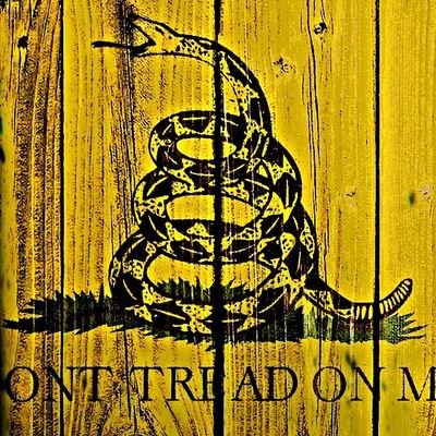 Diego_an_RM's profile picture. 