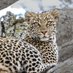 tukaone Serengeti Safaris (@tukaonesafaris) Twitter profile photo tukaone Serengeti Safaris (@tukaonesafaris) Twitter profile photo