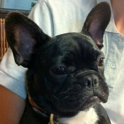 kyouzy's profile picture. なまえの読み方はきょうじでよいです。  カニ味噌