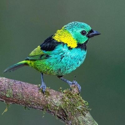 Kibuyu_g's profile picture. ★Naamini katika Mungu¹⁰⁰%      

†Jesus is my life†