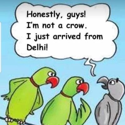 devbhilat's profile picture. 