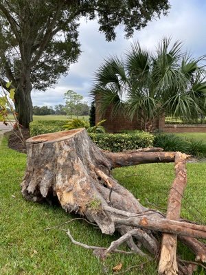 Mahoroba12345's profile picture. ASDの我が子と日々向き合いながら悪戦苦闘する父親。米国在住約20年。妻はアジア出身の米国市民。
安冨歩先生、山本太郎、AOCから生きる力を分け与えて貰っています。
機能不全に陥った日本社会の瓦解を横目で睨みつつ、共感に基づくフラットで自由な横の繋がりに希望を見出そうとしています。