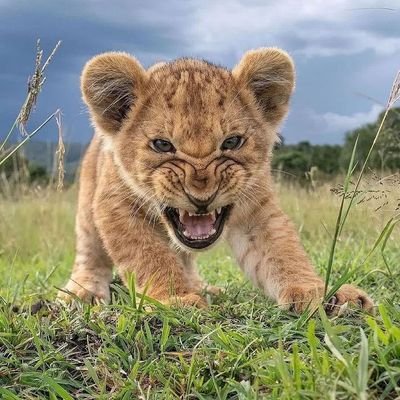 KevinAlvin_15's profile picture. Life is a journey, also a race,
It's my journey I'll run my race
at my own pace.
I know better what's best for me and what's toxic, period.