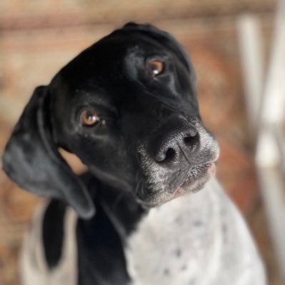 BushleagueYOOOO's profile picture. MAKADAMONEY