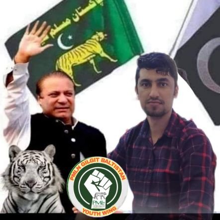 Media coordinator Youthwing PMLN GILGIT BALTISTAN