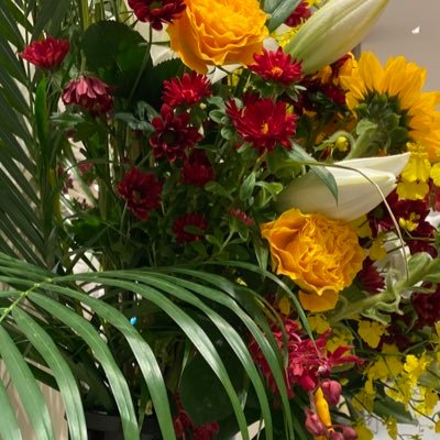 aod_nd's profile picture. 