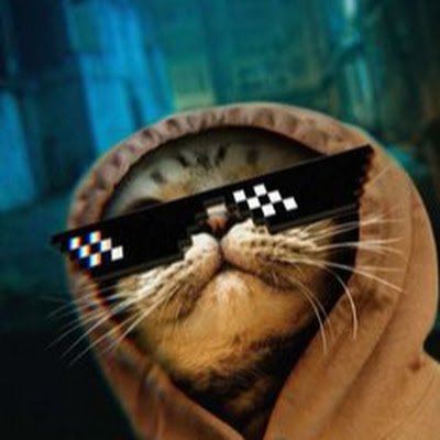 llqby5's profile picture. 