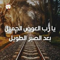 osama basha (@osamaba99431234) 's Twitter Profile
