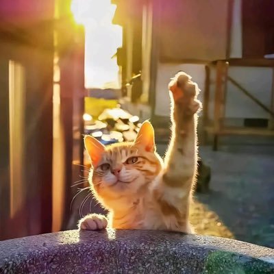 kenxiao152's profile picture. 