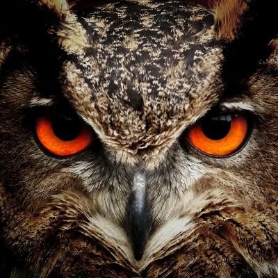 kumaproyou's profile picture. 子煩悩な日本酒好き。ジンやラムも飲みます。第三次復職中。弓道初段で修行中。 Greenwood Working(生木木工）はお休み中。趣味のプラモはボチボチと。ラーメンズ好き。つぶやきはNexus9&Nexus5xでJanetter。