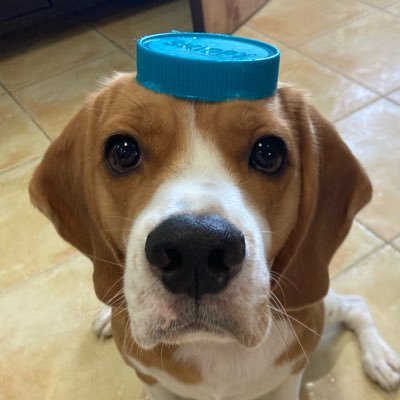 m_inasal's profile picture. 🇵🇭x🐶x👶x🇯🇵