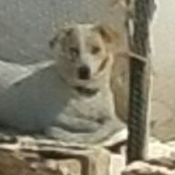 sttech9's profile picture. 