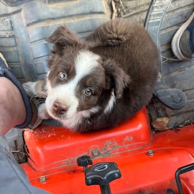 scottok16's profile picture. Oklahoma State Representative District 16, Husband, Father, Papi and Owner of Big Pappa Construction.