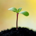 Thomas Winberg S - @Twinberg78 - Twitter