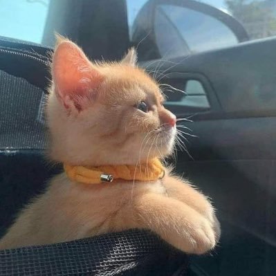 lamarvaltierra's profile picture. Ma thuhu ra mixi