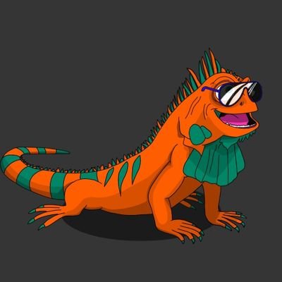 orange iguana