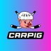 CarPig (@CarPigx) Twitter profile photo
