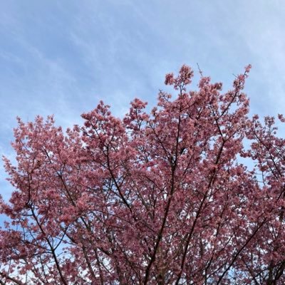 レコ大のCITRUSに心の臓つかまれてDa-iCE沼に落ちてFC入りました。ボーカル2人推し。年長組と同年代。関東在住。無言フォロー失礼します。