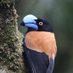 Ian Mills (@tynewearbirding) Twitter profile photo Ian Mills (@tynewearbirding) Twitter profile photo