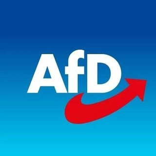 Der inoffizielle Twitter Account der AfD Salzgitter. 
#AfD #Salzgitter 🇩🇪💙
(Parodie)