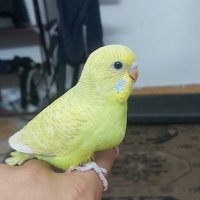 mohamed ramdan (@medotegara2005) 's Twitter Profile Photo