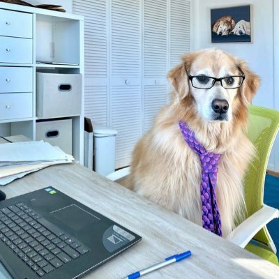 Did you accidentally swim over to the neighbors? Maybe bark a lot? Call Venkman, Attorney at Law! Fighting for chaos since 2014! fan account 4 @thegoldenratio4