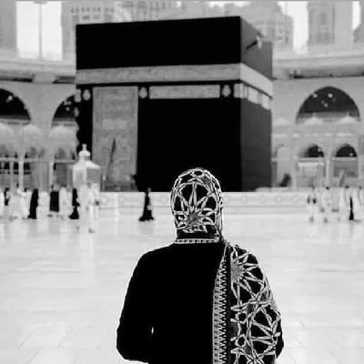 aliaaebrahem14's profile picture. 