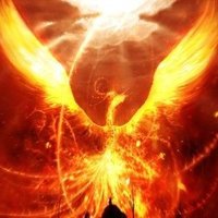Fenix Reborn (@s_fenix_r) 's Twitter Profile