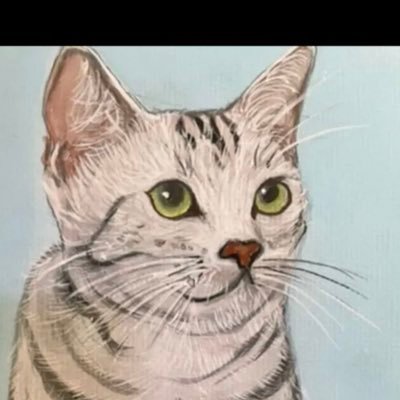 crunch_cocobad's profile picture. バイク増車強化中 オンもオフも好きソロツーリングは探さないで下さい イリオモテヤマネコ科♀ ベストヒットUSA🇺🇸時代〜洋楽HR/HM育ち #温泉友の会