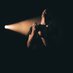 VLMV (@vlmvmusic) Twitter profile photo VLMV (@vlmvmusic) Twitter profile photo