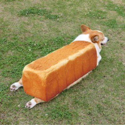 Pomeee8Pomeee's profile picture. 20↑