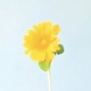 きゆ(ガチャ禁出来ない)さんのプロフィール画像