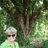 A_Groundling's profile image