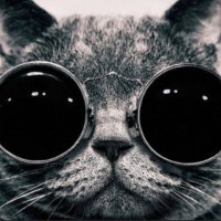 John Edward Jimenez (@johnjipa) 's Twitter Profile