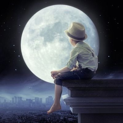 zekirkorkmaz's profile picture. 