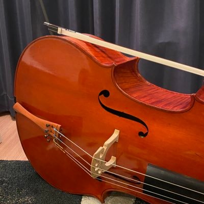 チェロ弾きによる主にクラシックコンサート、オペラ、バレエ等の鑑賞記録。／ Hi there! I’ve played the cello. Will share my thoughts on concerts here in Japan! I was in the UK in the past.