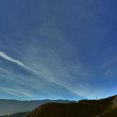 Alex_Xia42's profile picture. 