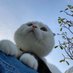 ตร่งตร้ง (@insupxa) Twitter profile photo ตร่งตร้ง (@insupxa) Twitter profile photo