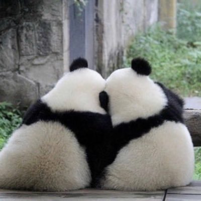 SW777276565's profile picture. 