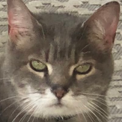 jojorockseries's profile picture. 