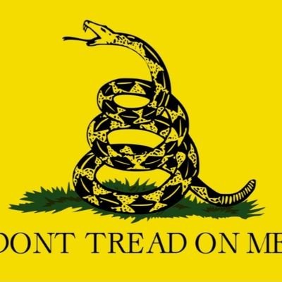 RaphaelMuchi's profile picture. 