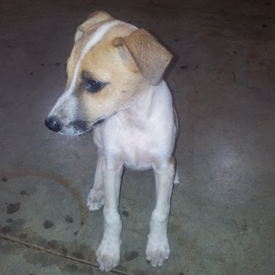 s_gleria's profile picture. 