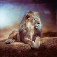 Carlos Roberto Rodrigues Gomes Carlos Gomes (@carlosr65563968) 's Twitter Profile