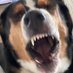 christine dube (@christi60528736) Twitter profile photo christine dube (@christi60528736) Twitter profile photo