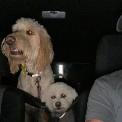 getrealatx's profile picture. 