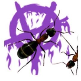 hormicami's profile picture. xd