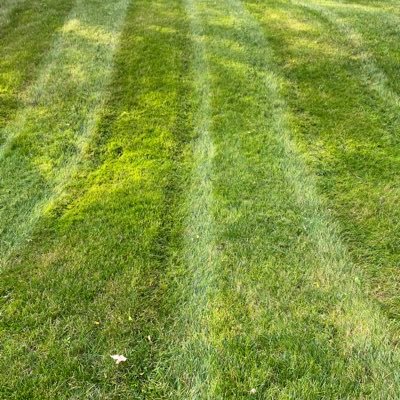 cameronlackney's profile picture. Gen Z