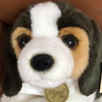 マニ🐶iLYs🌈 (@eclatantesh) 's Twitter Profile Photo マニ🐶iLYs🌈 (@eclatantesh) 's Twitter Profile Photo